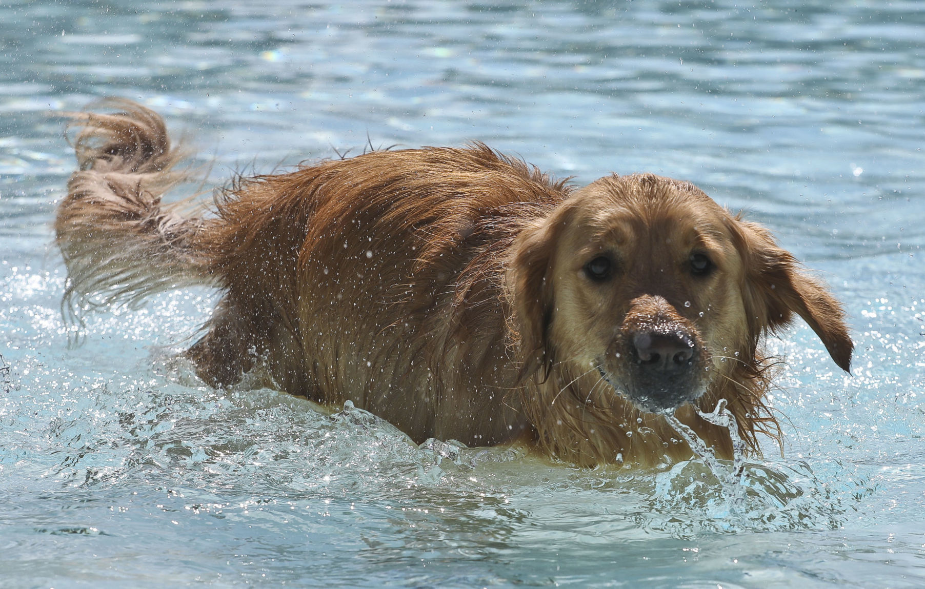 Pool Party 11 09.07.19.JPG